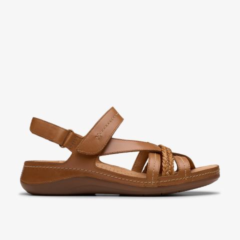 Tan Combination