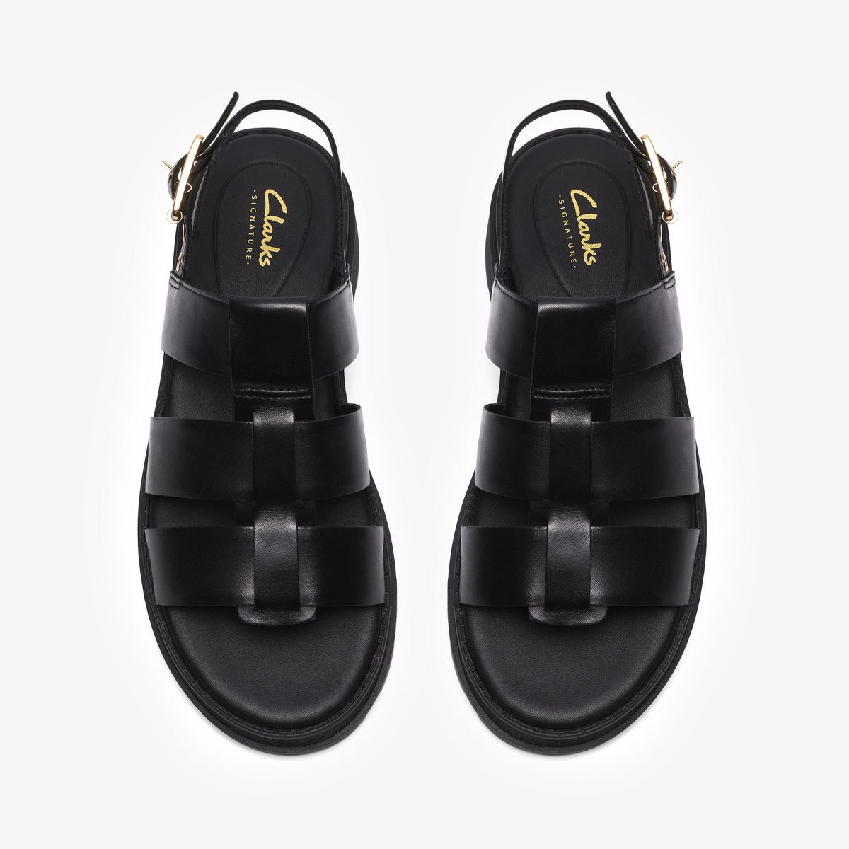 Orinoco3 Strap detail