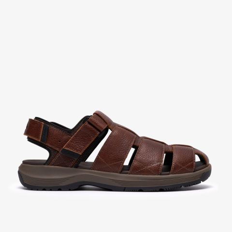 Guideview Cove — Dark Brown Leather