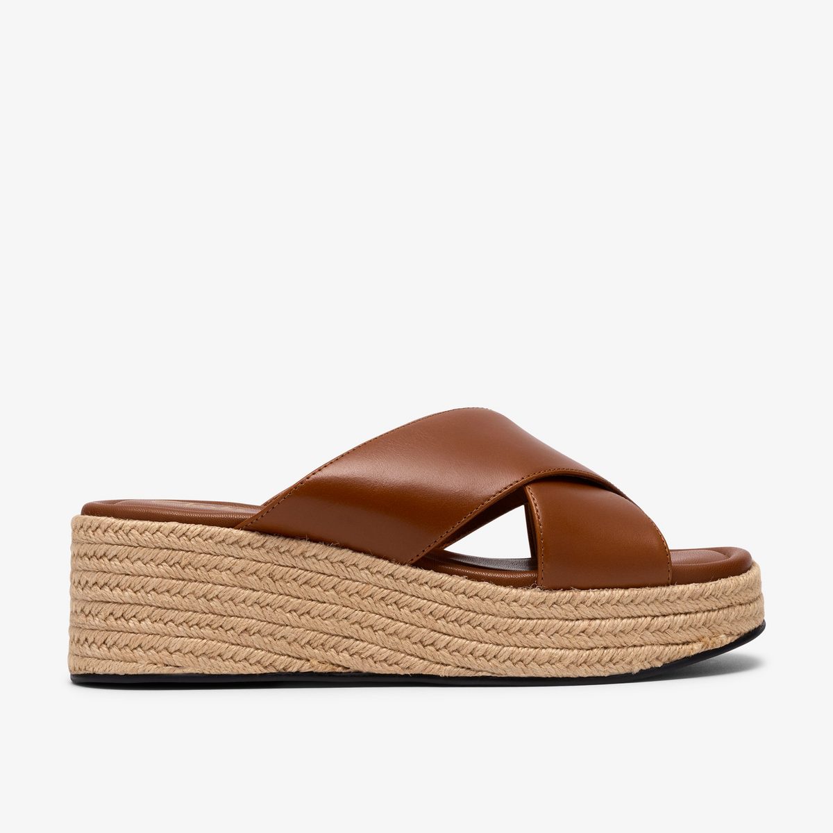 Tessiah Mule 2