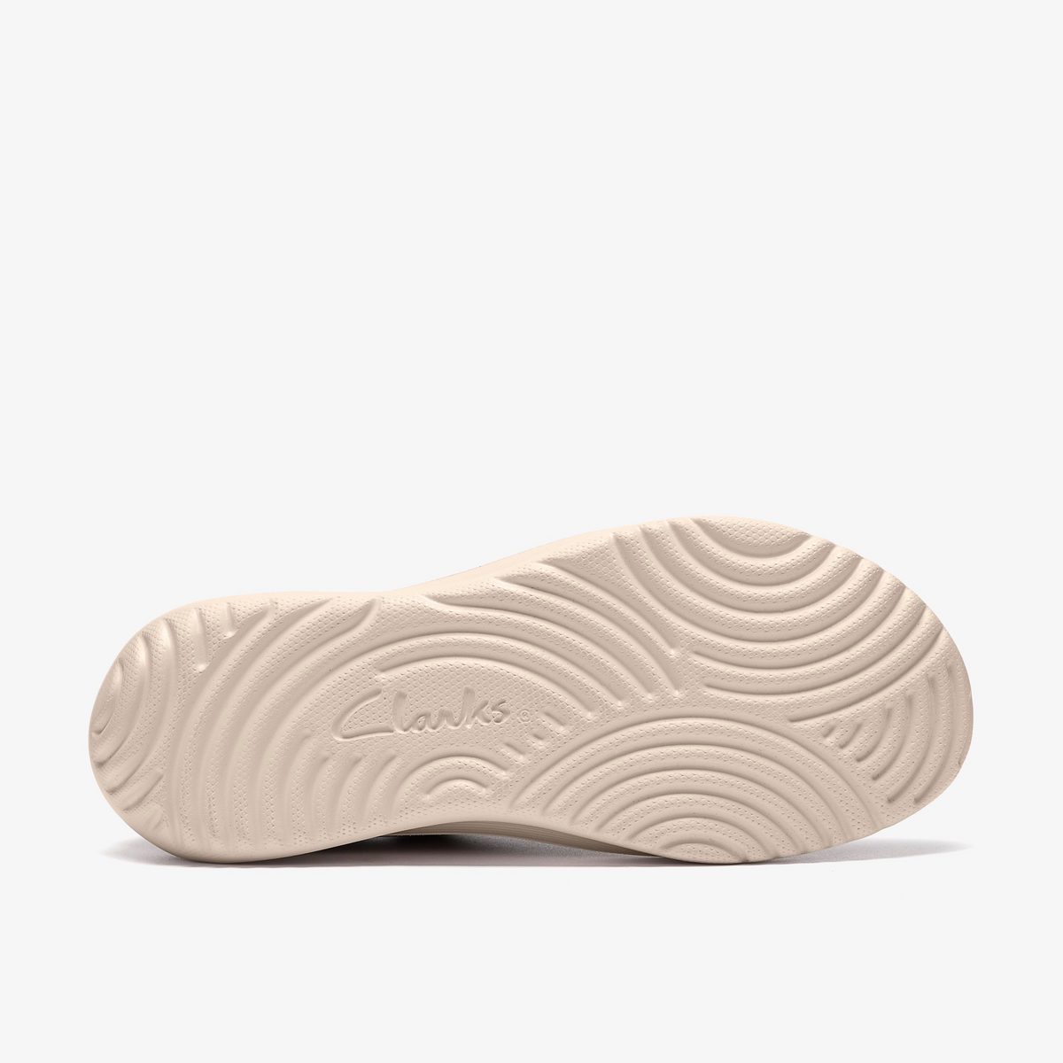 Solevana Lily detail
